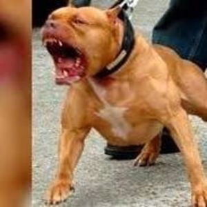 Meet your Posher, Richard